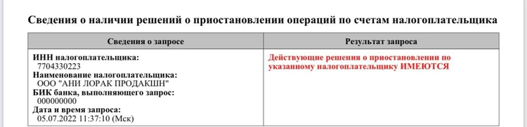 Счета Ани Лорак заблокированы с прошлого года.
