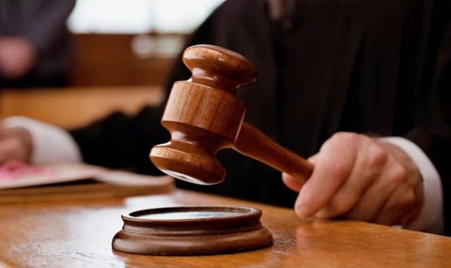 В Волгоградской области судьи оправдали живодеров задушивших беременную лосиху