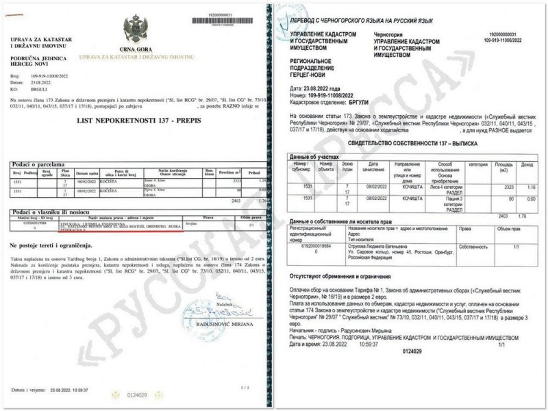Тайные "иноактивы" Константина Струкова.