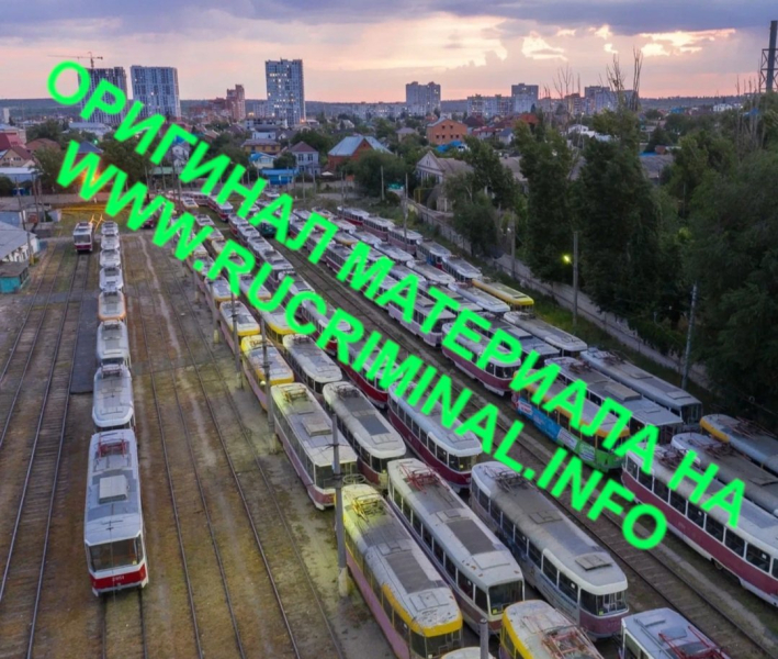 &laquo;Золотая птица&raquo; Говорун