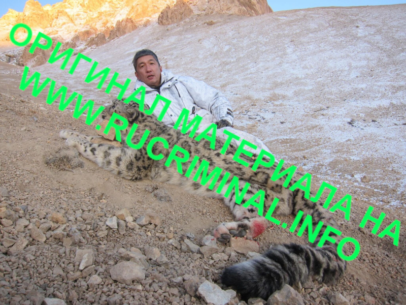 Капиталгейт - 2