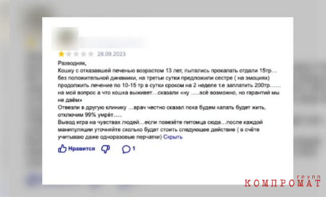 Как сэкономить деньги и не убить своего питомца: лайфхаки при обращении в ветклинику