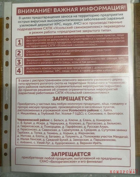 Инфекция 2.0 в Иркутской области: Шевченко и Сумароков встретили песца