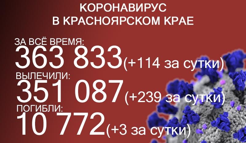 114 жителей Красноярского края заразились ковидом, трое скончались 