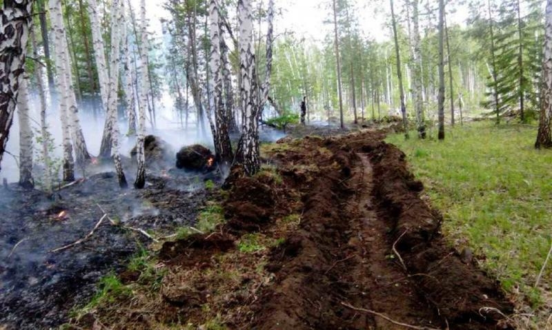 17 пожаров потушили в Прибайкалье за сутки, 10 локализовано, 5 действует