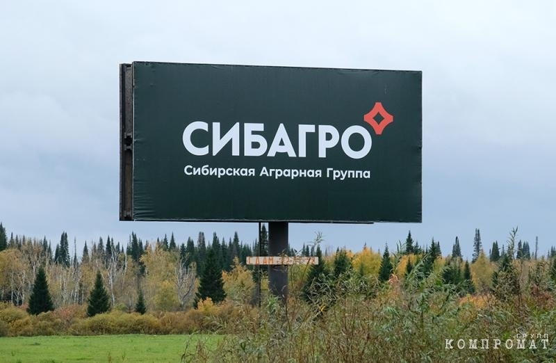Преступный &laquo;Сибиряк&raquo;: почему нервничает &laquo;Сибагро&raquo;