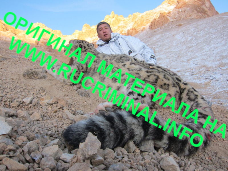 Капиталгейт - 2