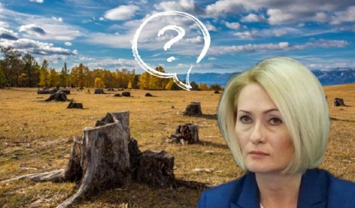 «Вали всё на предшествующего». Как Абрамченко за Байкалом не доглядела