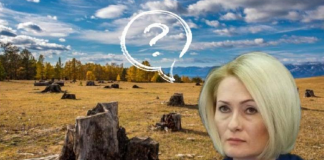 «Вали всё на предшествующего». Как Абрамченко за Байкалом не доглядела