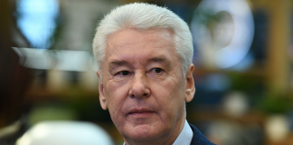 Собянин выдал подрядным организациям порубочный карт-бланш