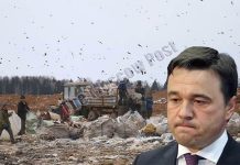 Гиблое дело: почему губернатор Воробьев не реагирует на скандал с полигоном ТБО «Ядрово»