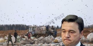Гиблое дело: почему губернатор Воробьев не реагирует на скандал с полигоном ТБО «Ядрово»