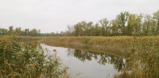 Прокурор помог отдать в частные руки кубанскую балку Водяная