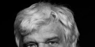 Дмитрий Брусникин