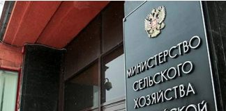 Молчание телят
