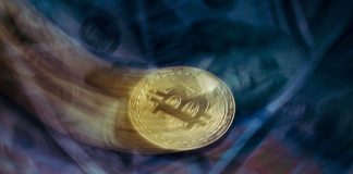 Совет Федерации попросил провести работу над возможностью регулирование рынка криптографических валют