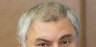 Вячеслав Володин