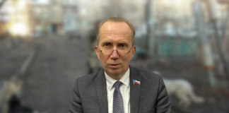 В коттедже парламентария кочевых псов нет: Куда в Астрахани разделяй 10-ки миллионов, которые были выделены на борьбу с собаками-каннибалами