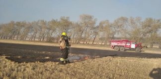 9 пожаров за март. Красноярские пожарные уже начали борьбу с возгораниями на природе
