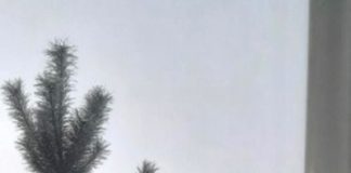 Блогнот. СибАгро отбирает не только воду, но и воздух