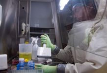 Чума, сибирская язва и коронавирусная инфекция: Как американцы собирались перекидывать смертельные патогены с Украины в Российскую Федерацию