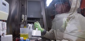 Чума, сибирская язва и коронавирусная инфекция: Как американцы собирались перекидывать смертельные патогены с Украины в Российскую Федерацию