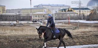 Федеральный центр отказался от продажи ипподрома в Красноярске