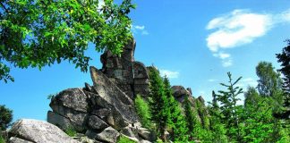 Инсайд. Экологический «терроризм» в Горной Шории
