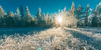 Красноярцам пообещали весеннее потепление до -4°С