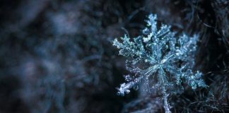 Красноярский край накроют аномальные 40-градусные морозы