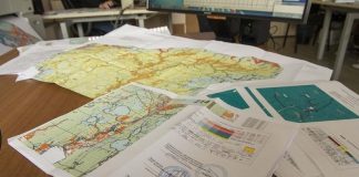 Российские власти упростили жизнь лесному бизнесу