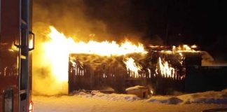Сторож приюта для бездомных животных погиб на пожаре в Усть-Илимске
