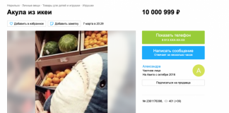 «Тяжёлые времена»: норильчанка продаёт мемную акулу из IKEA за 10 миллионов рублей