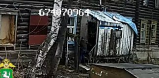 Томич проведёт в колонии более 16 лет за убийство с особой жестокостью