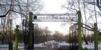 Торги на благоустройство двух парков объявила мэрия Иркутска