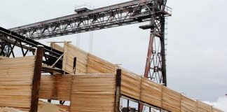 В контрабанде леса на 102 миллиона подозревают четверых иркутян и китайца