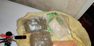 В Томске тайник с наркотиками нашла служебная собака по кличке Акбар