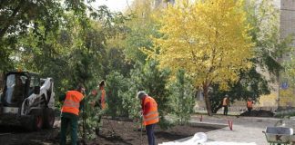 Власти пообещали озеленить Красноярск более чем на 9 миллионов рублей