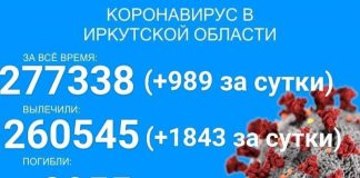 Впервые за несколько месяцев суточный прирост заболевших COVID-19 в Прибайкалье — меньше тысячи
