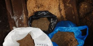 Житель Томской области прятал в усадьбе около 900 граммов марихуаны