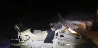 Житель Томской области убил косулю. Возбуждено уголовное дело о незаконной охоте