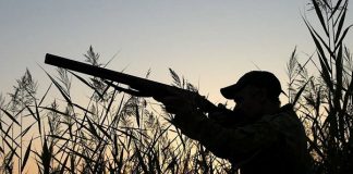 Житель Томской области выплатит 700 тысяч дочери случайно убитого на охоте товарища