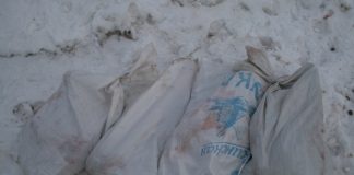 Житель Томской области заметил у дороги лося и застрелил его