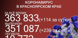 114 жителей Красноярского края заразились ковидом, трое скончались