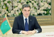 Муж племянницы второго президента Туркмении Гурбангулы Бердымухамедова контролирует единственного мобильного оператора страны «Алтын Асыр»