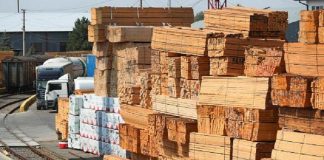 Российский ЛПК подсчитывает утраты от экспортных доходов