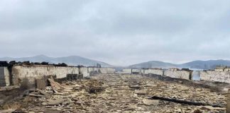 Более 700 животных погибли в огне во время пожара на ферме в Хакасии