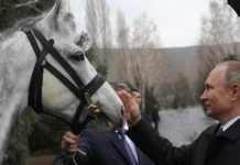 Каких докторов посылают к Путину.