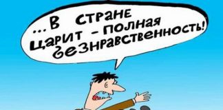 Для юристов закон не писан, или Sweet home for профессор Шишкин