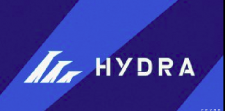 Как была устроена Hydra